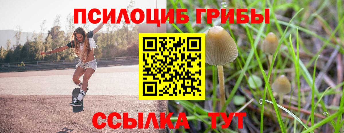 Рославль  наркошоп  Вход с VPN  Галлюциногенные грибы Psilocybine cubensis 